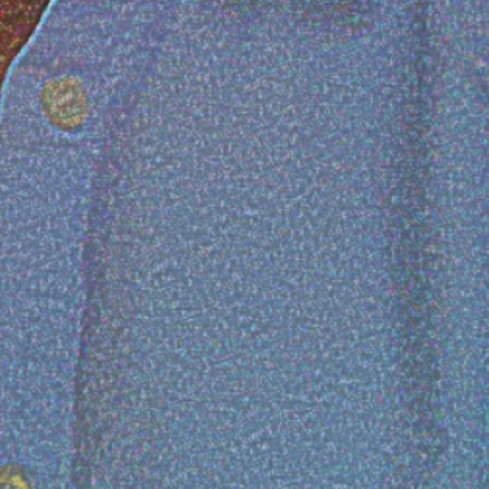 Meet your Posher, Amya